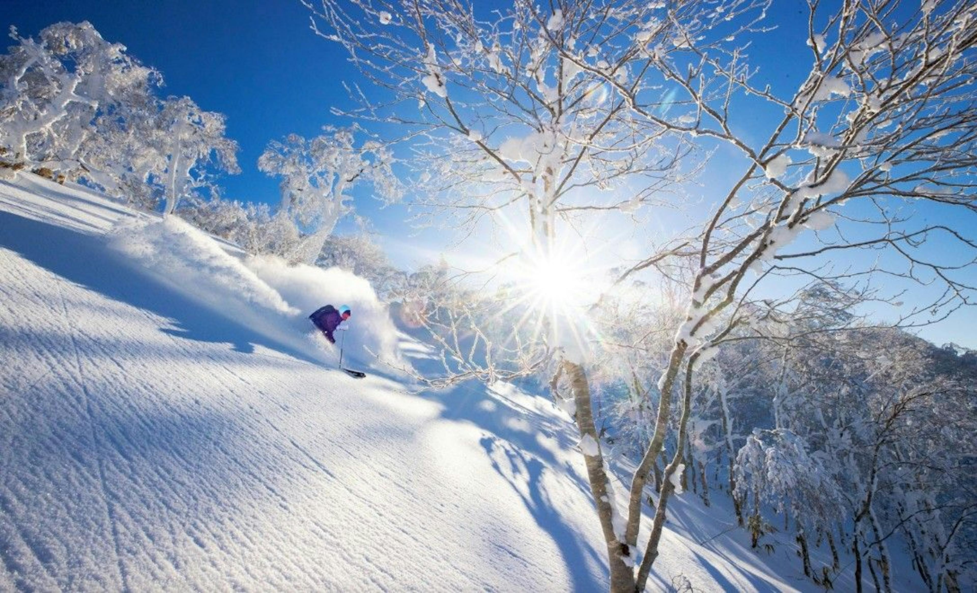 Skier skiing through japow on a beautiful bluebird day at Rusutsu Resort