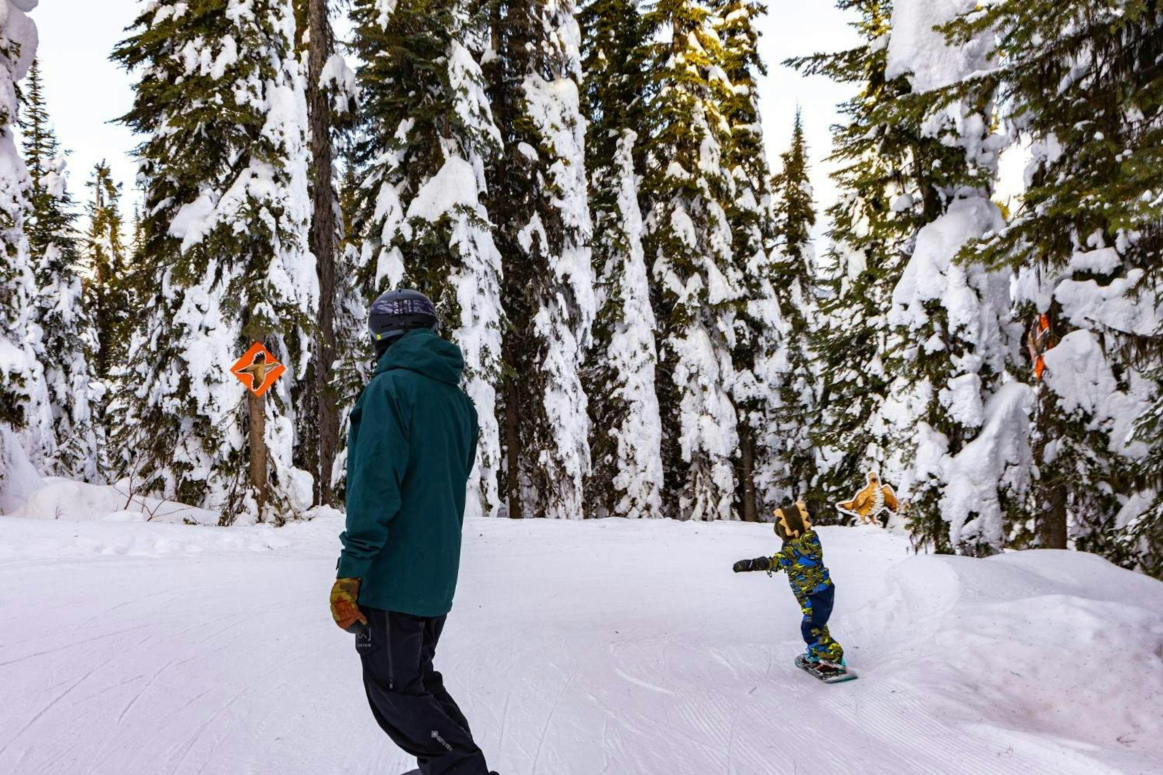 Father and son hunting for grouse on Grouse's Nest run, Mt Morissey