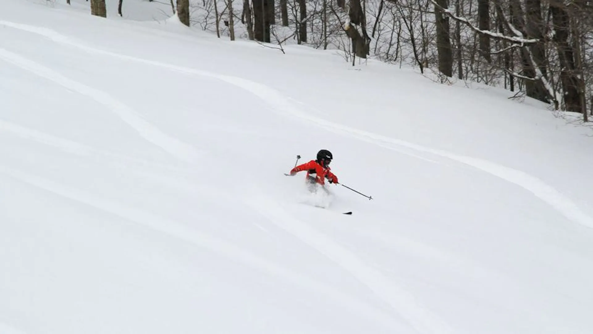 Kid's Powder Ski