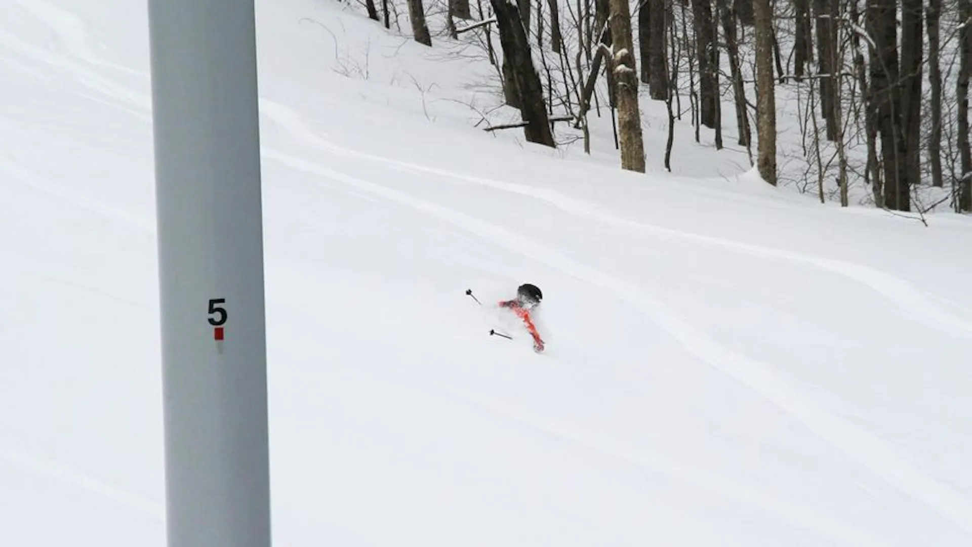 Kid's Powder Ski