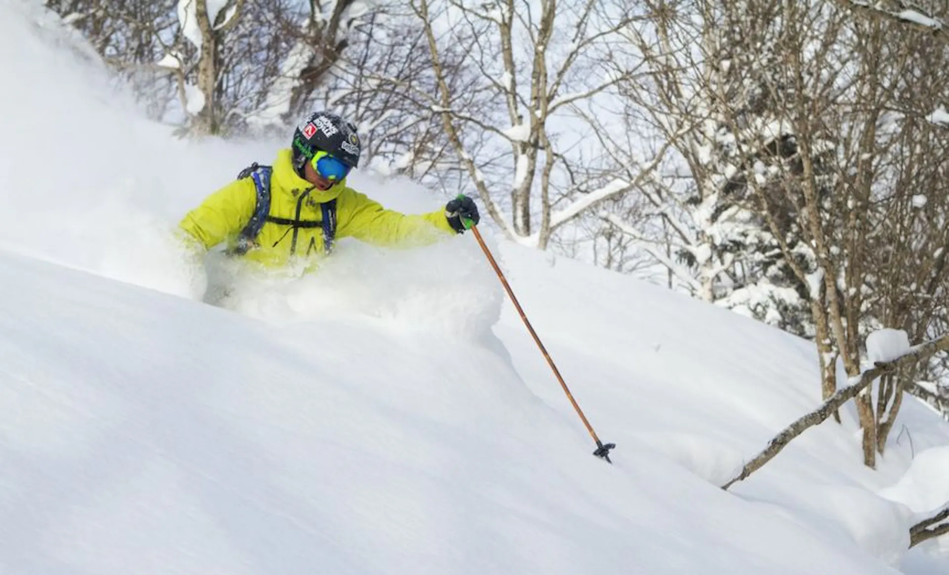 Grass Sticks Bamboo ski poles