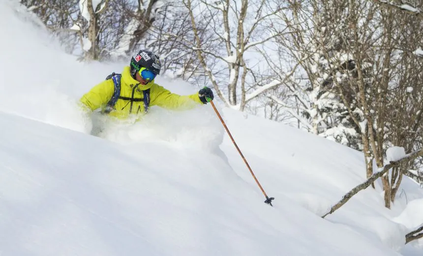 Grass Sticks Bamboo ski poles