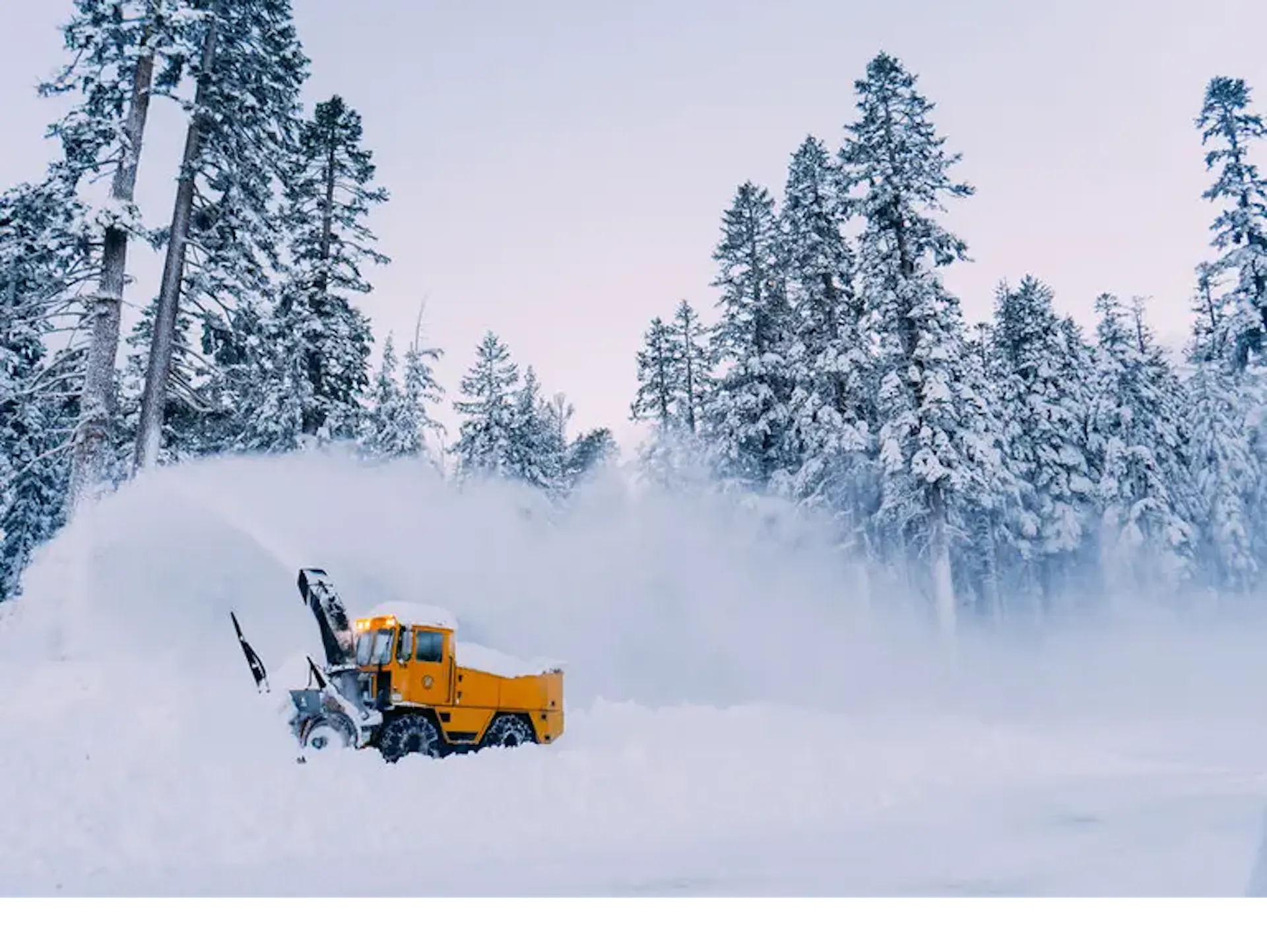 The 7 Best Ski Resorts Near Los Angeles, 2023/24