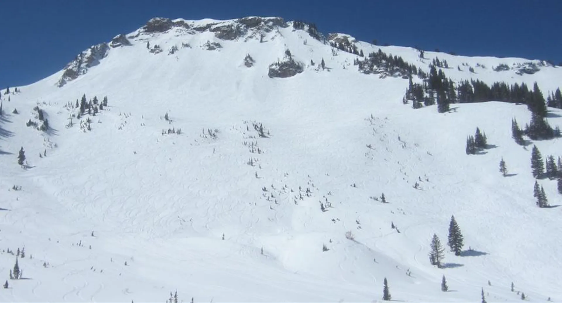 Old school skiers-only mountain with access to Snowbird on the AltaBird pass Highlights