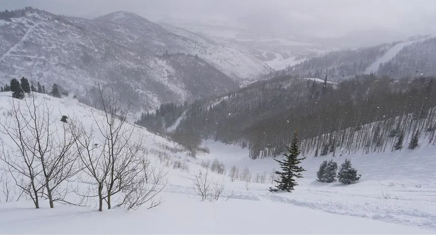 View from Red Pine Gondola, Park City