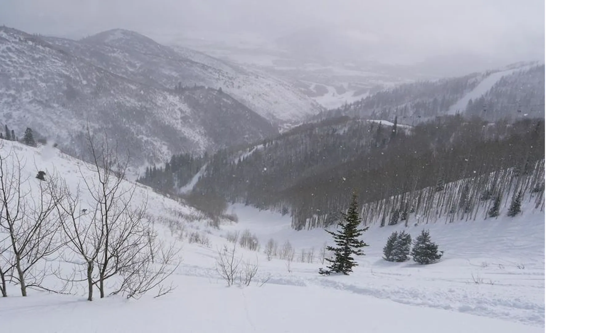 View from Red Pine Gondola, Park City