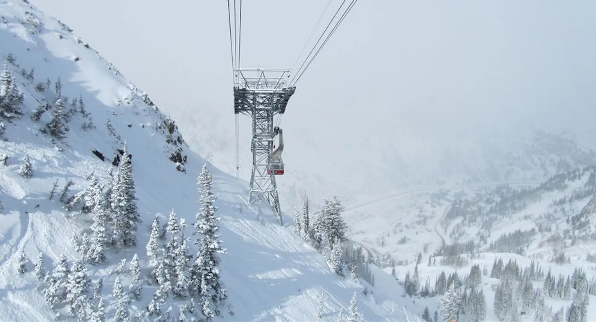 Snowbird Tram taking us to the top!