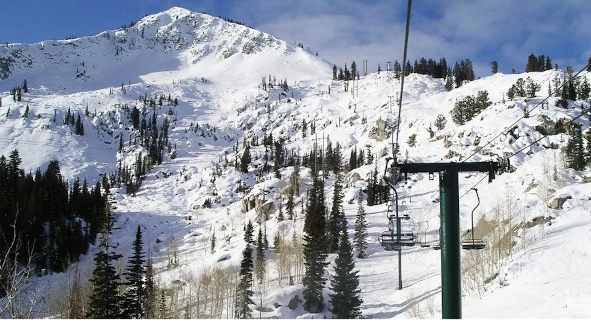 Millicent at Brighton