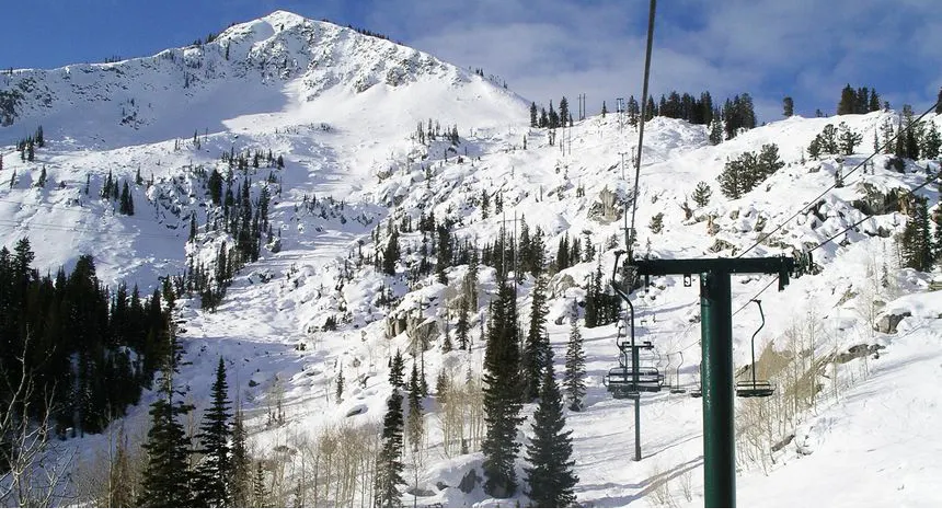 Millicent at Brighton