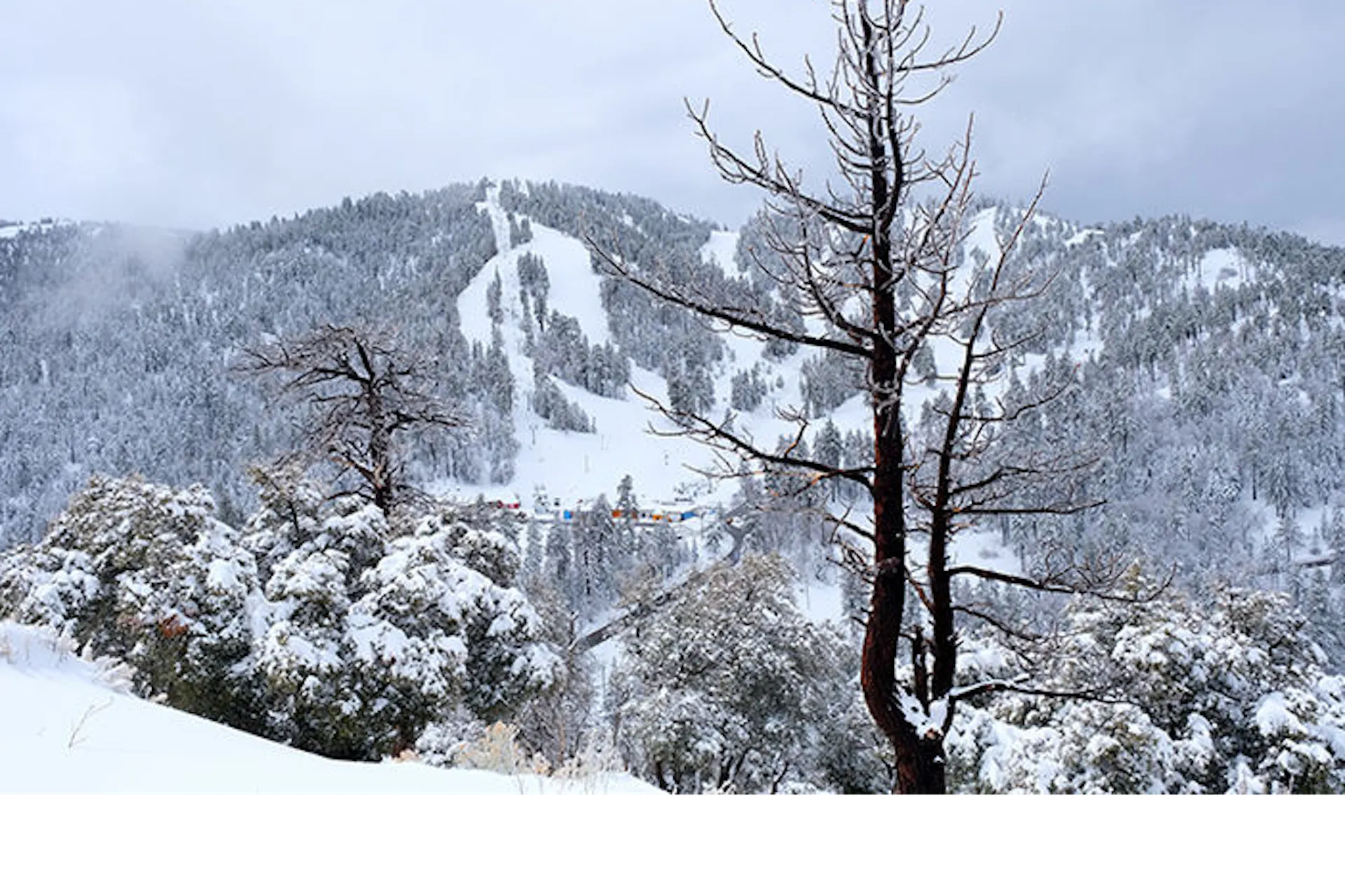 Photo credit: Mountain High