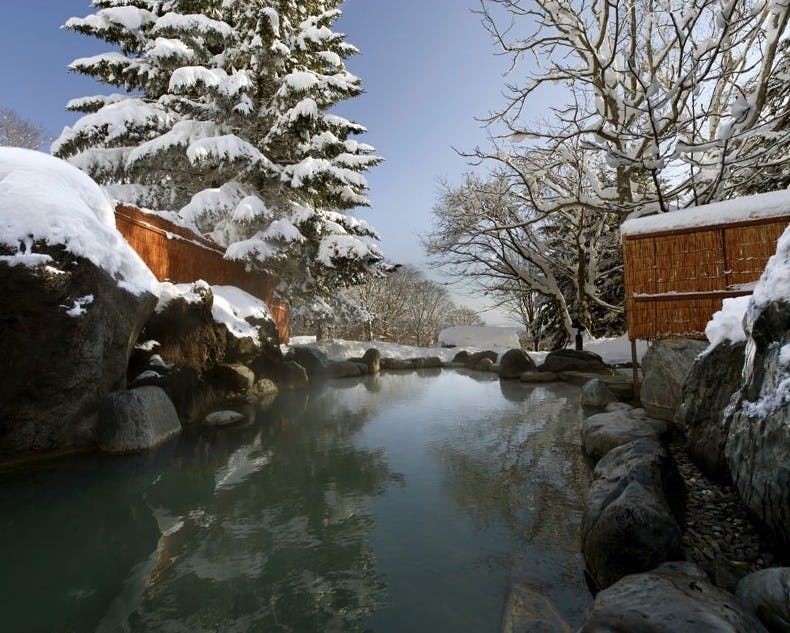 Steamy outdoor onsen in Niseko framed by snowy evergreen trees
