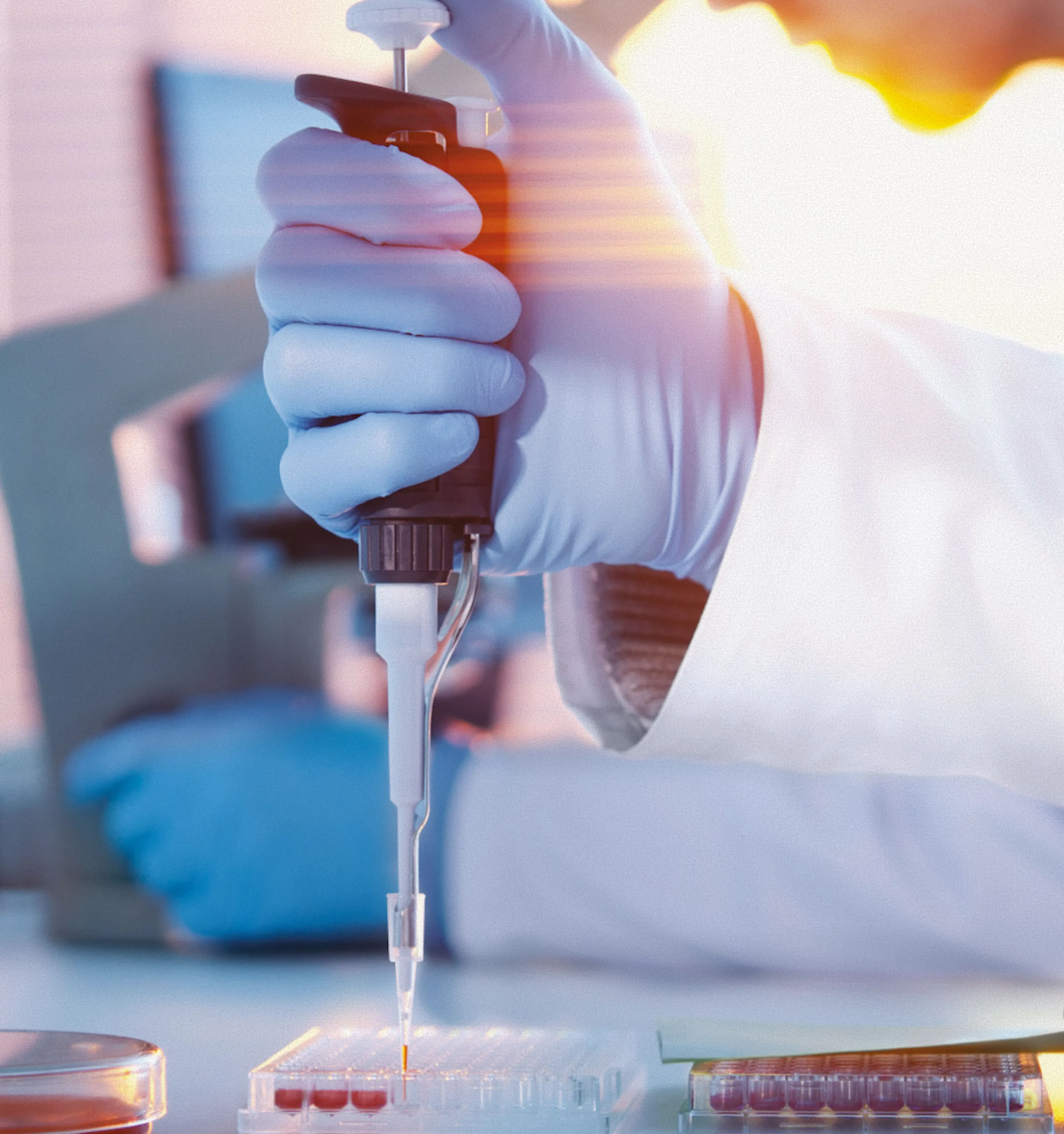 Manipulation d'une pipette en laboratoire