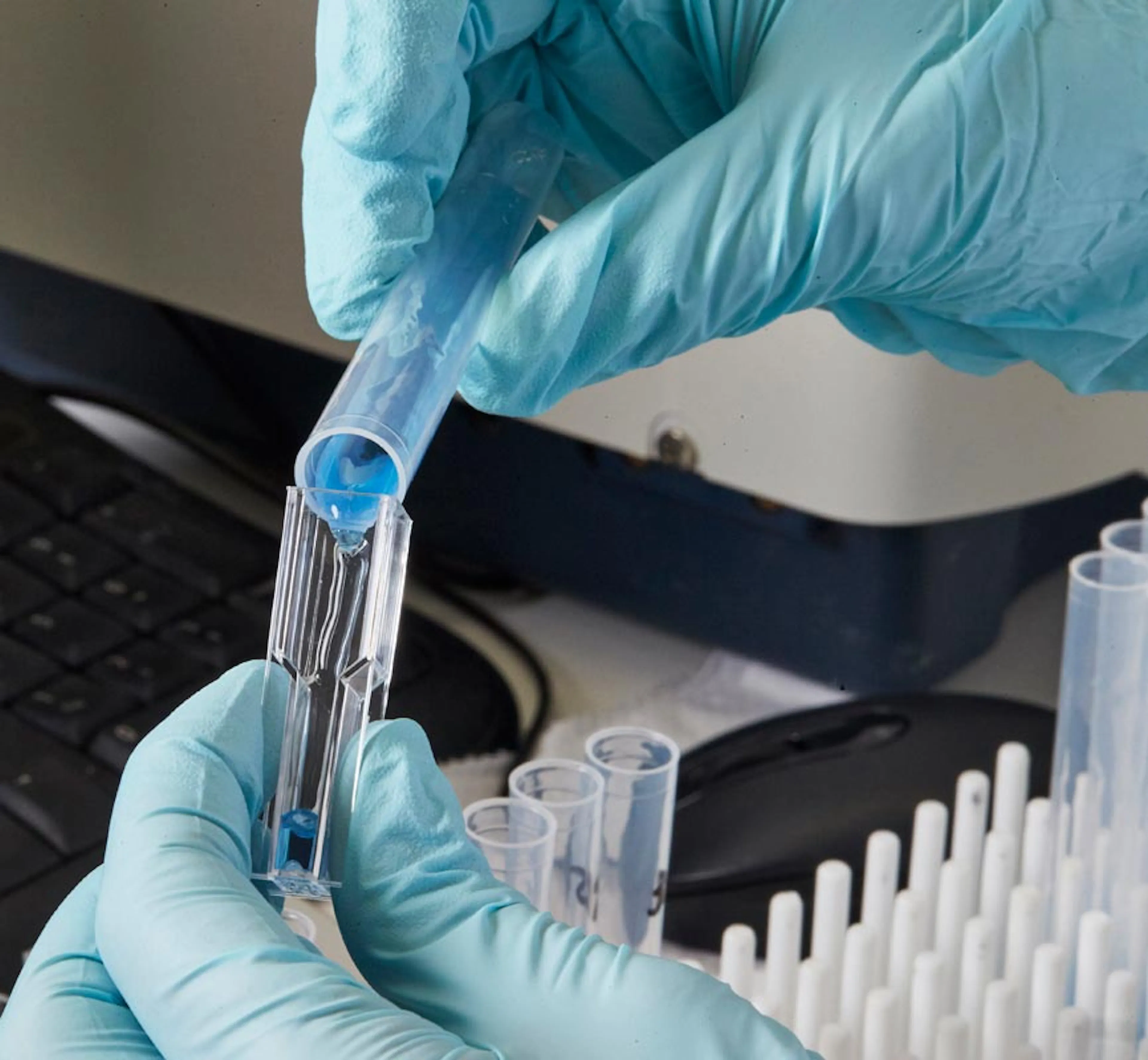 Manipulation d'éprouvettes en laboratoire
