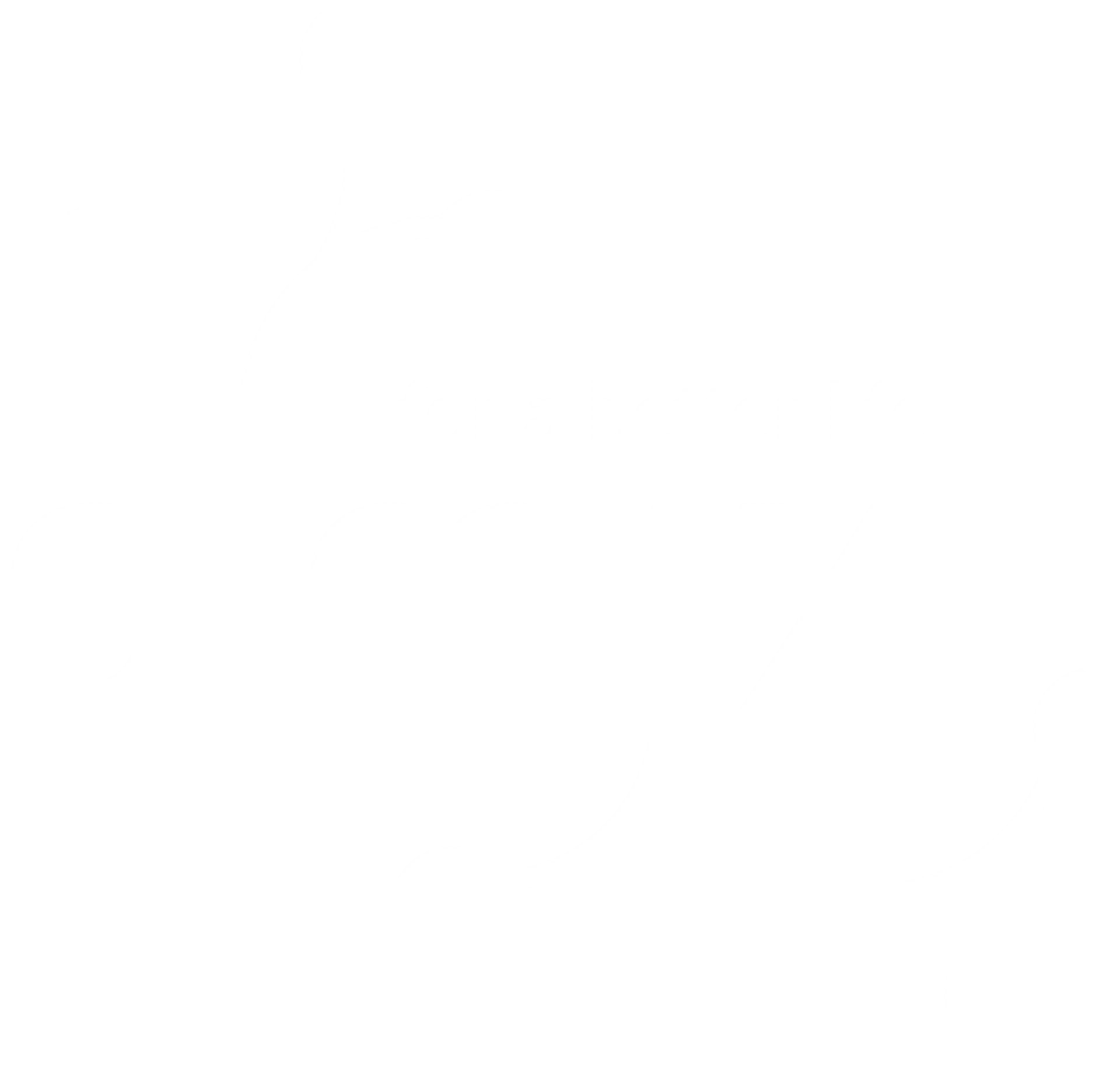 Logo Olmix blanc