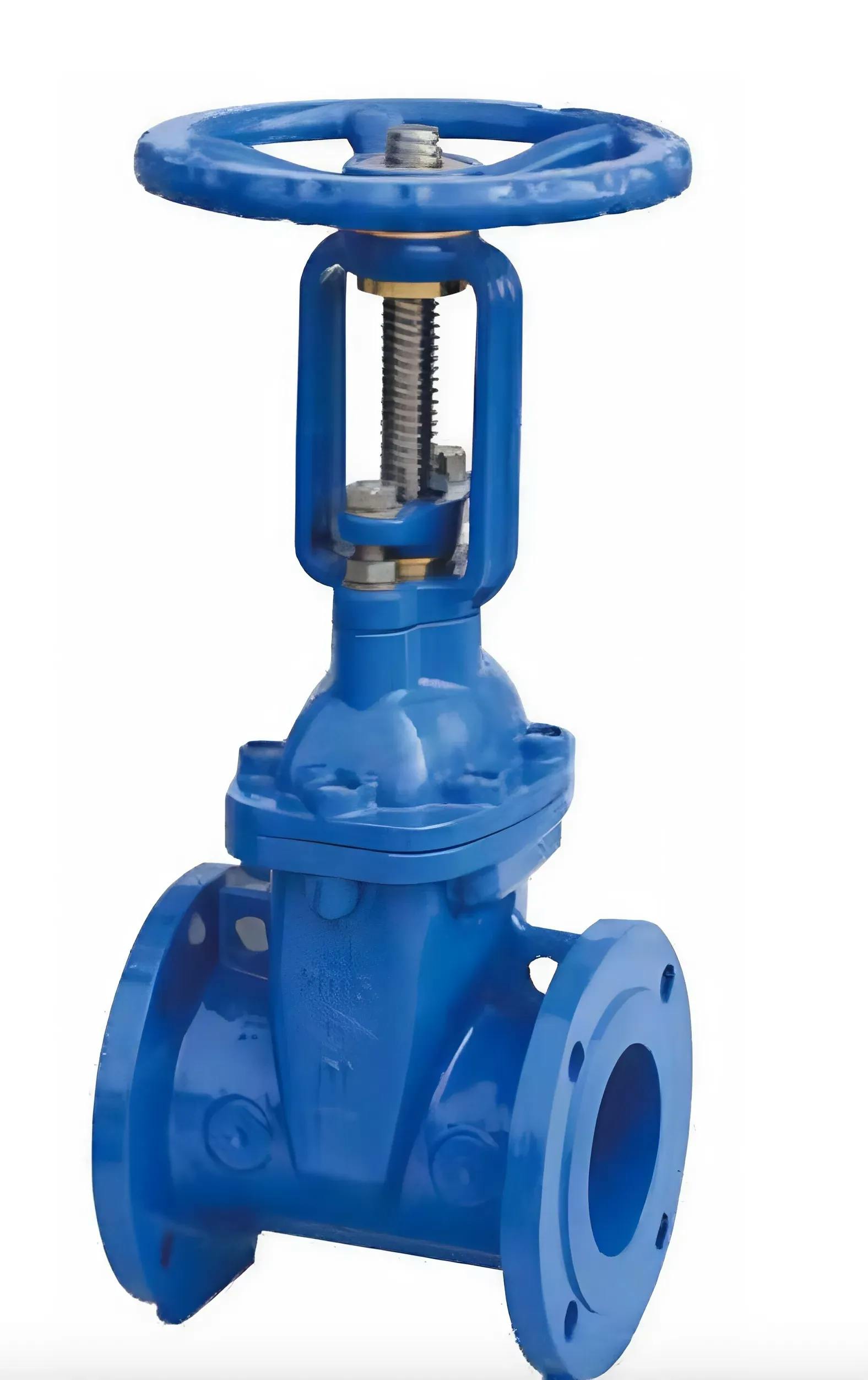 As 2638.2 Flanged Resilient OS&Y