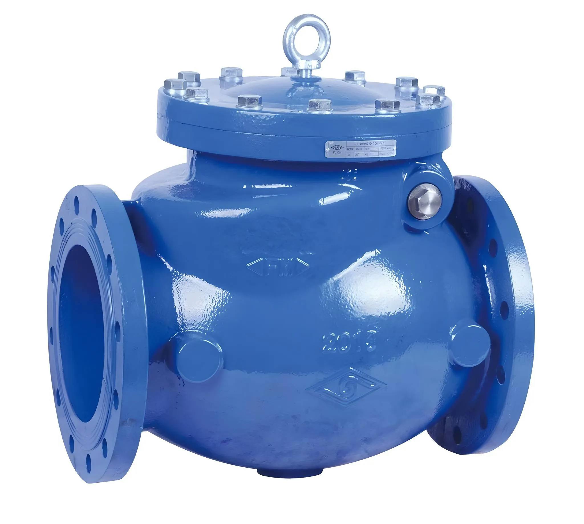 BS SWING CHECK VALVE