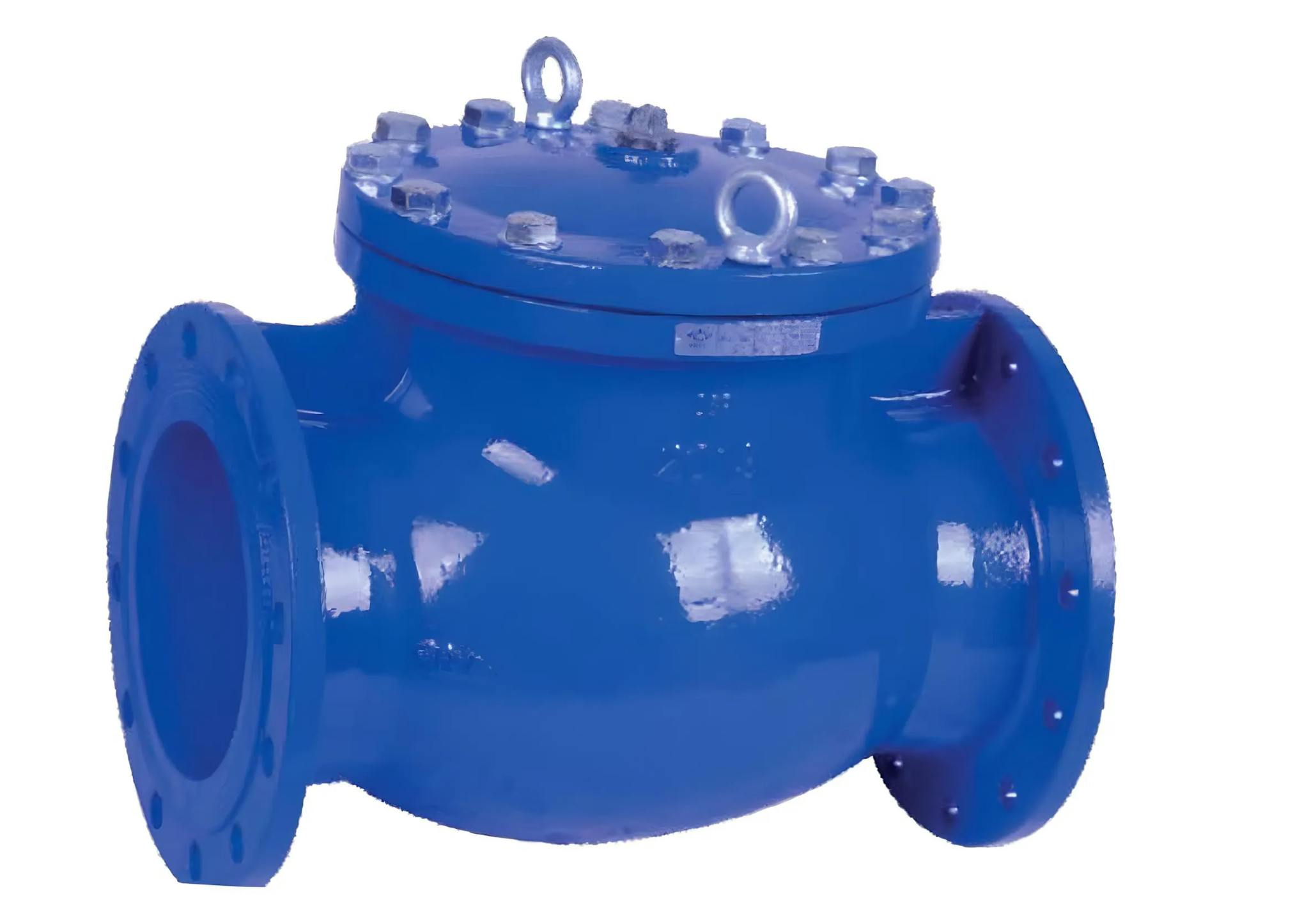 Din F6 Check Valve