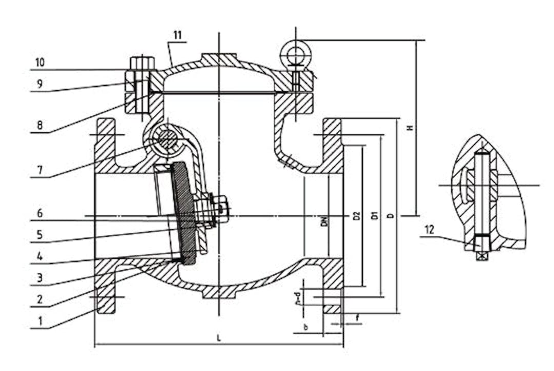 DIN F6 CHECK VALVE