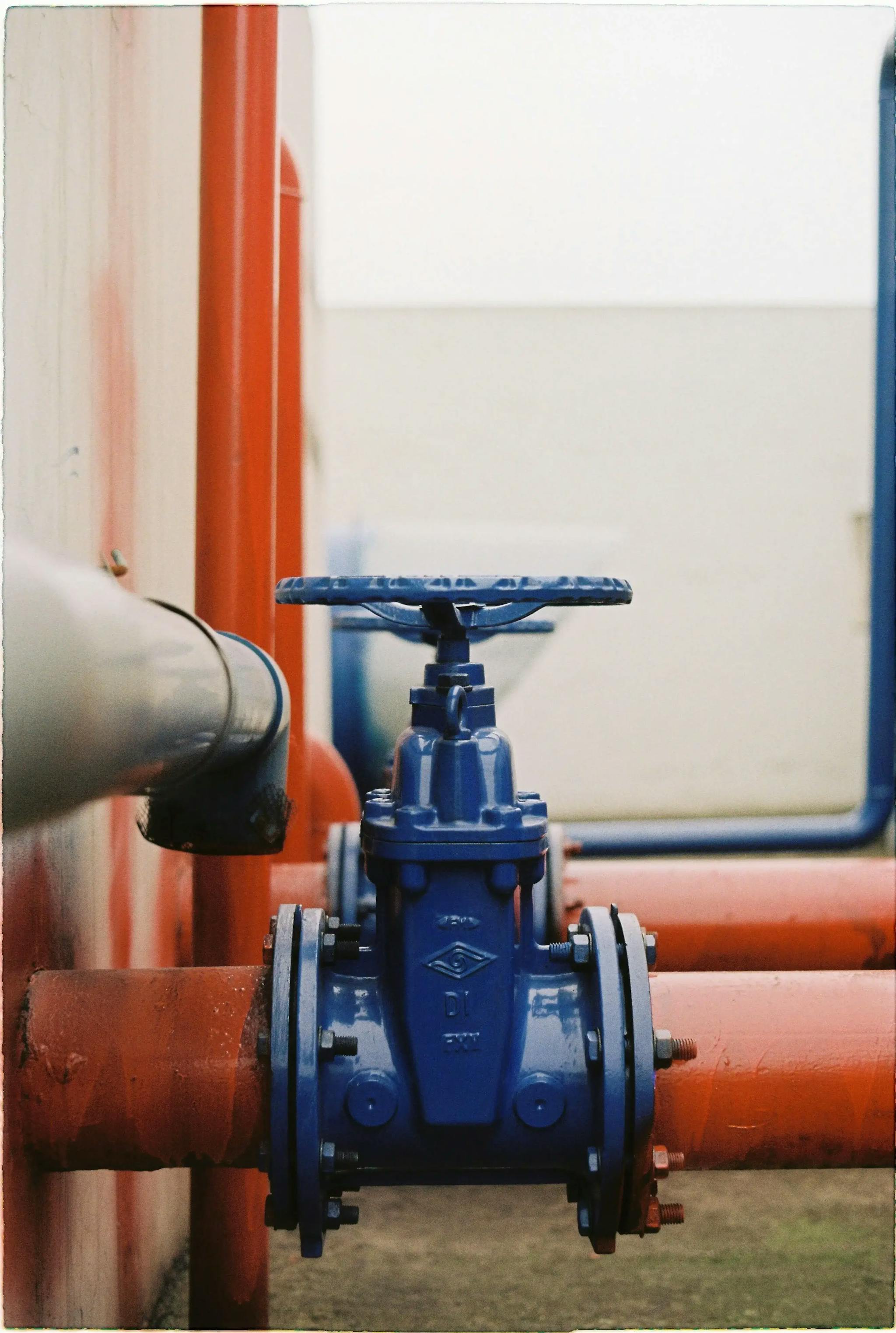 General Purpose Valves