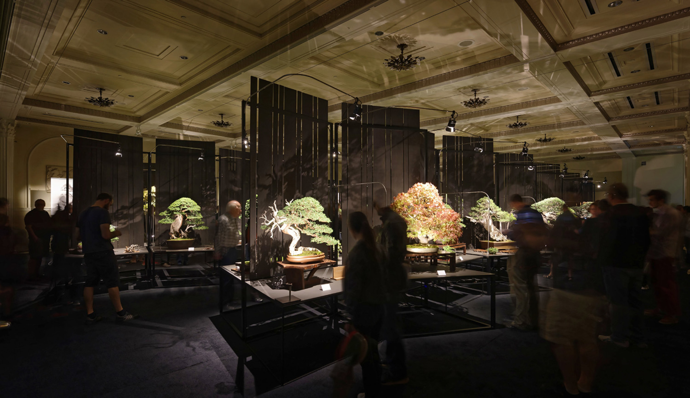Artisans Cup — Skylab Architecture