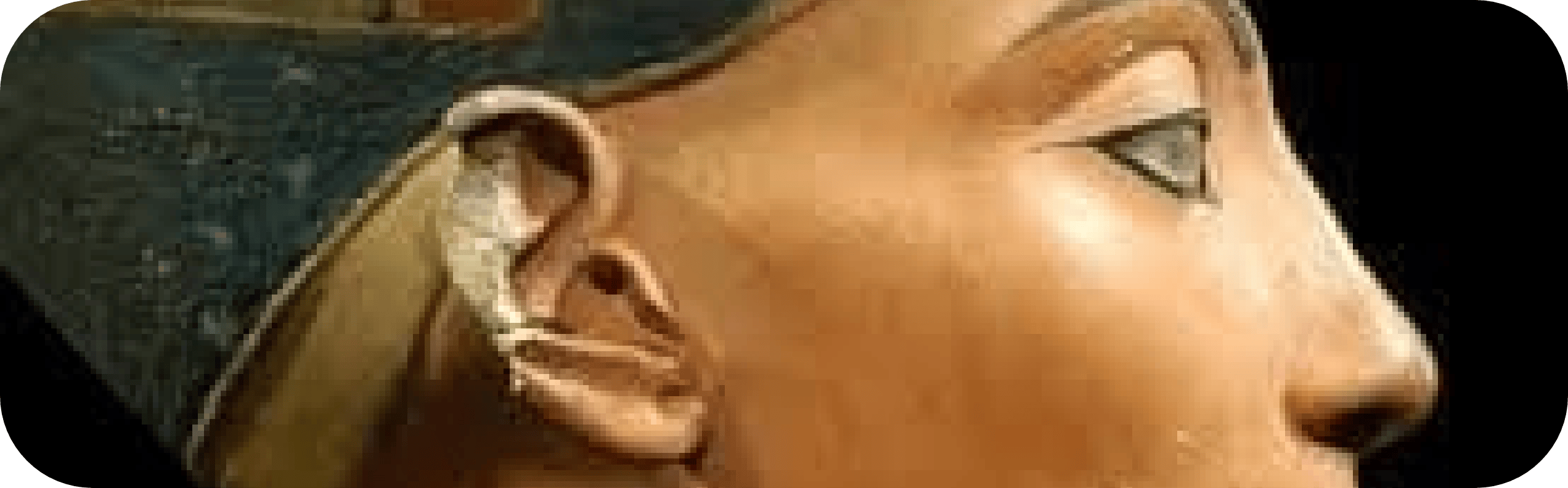 Image of nefertiti statue