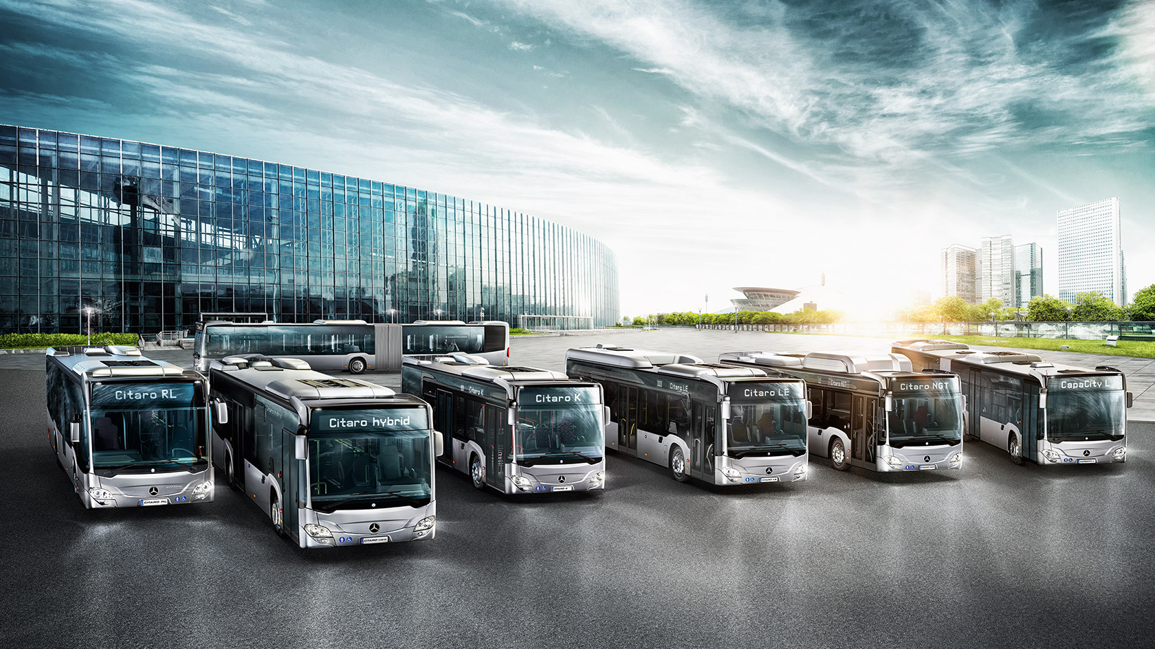 Citaro gráir | úrval tegunda