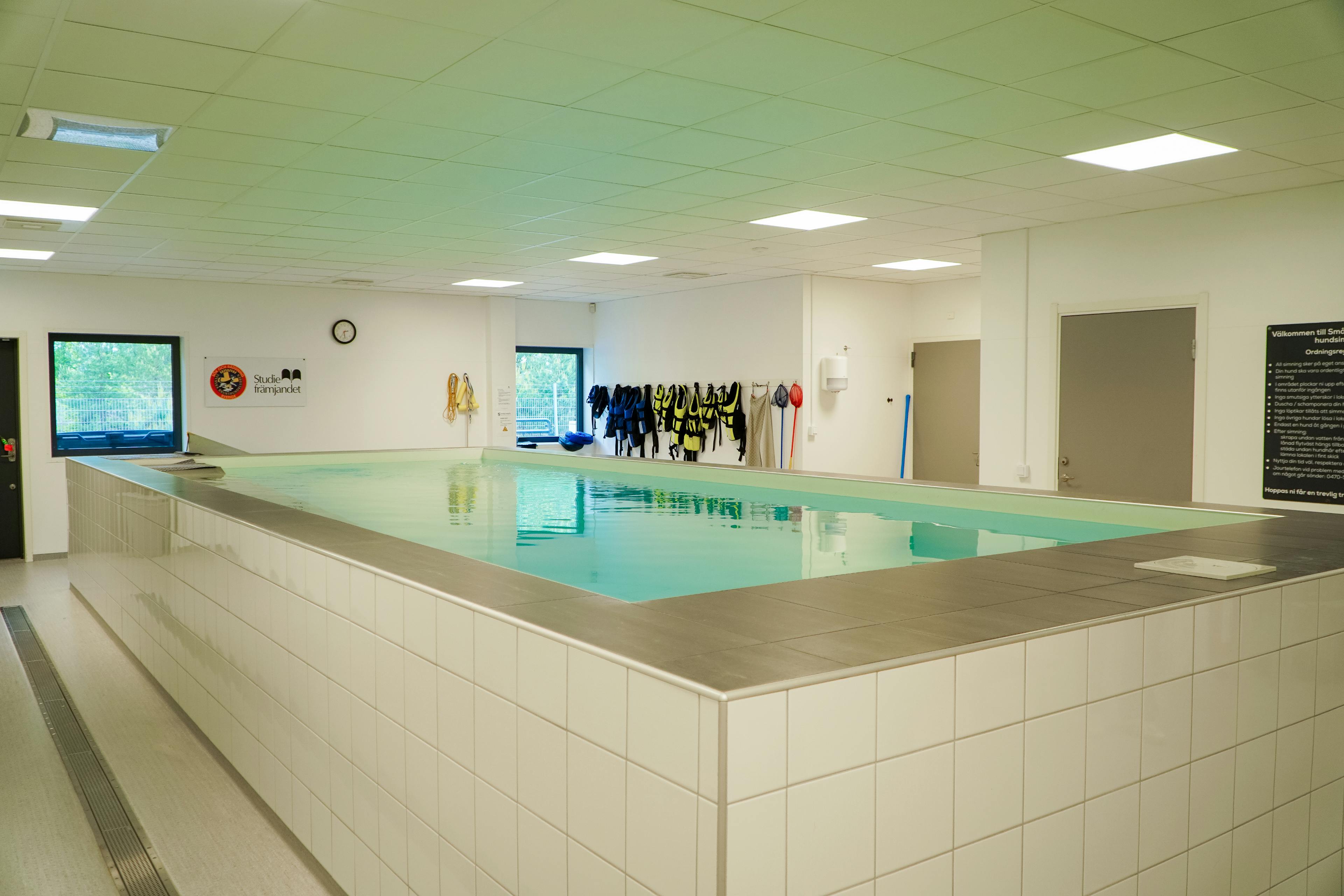 Hundsim Växjö