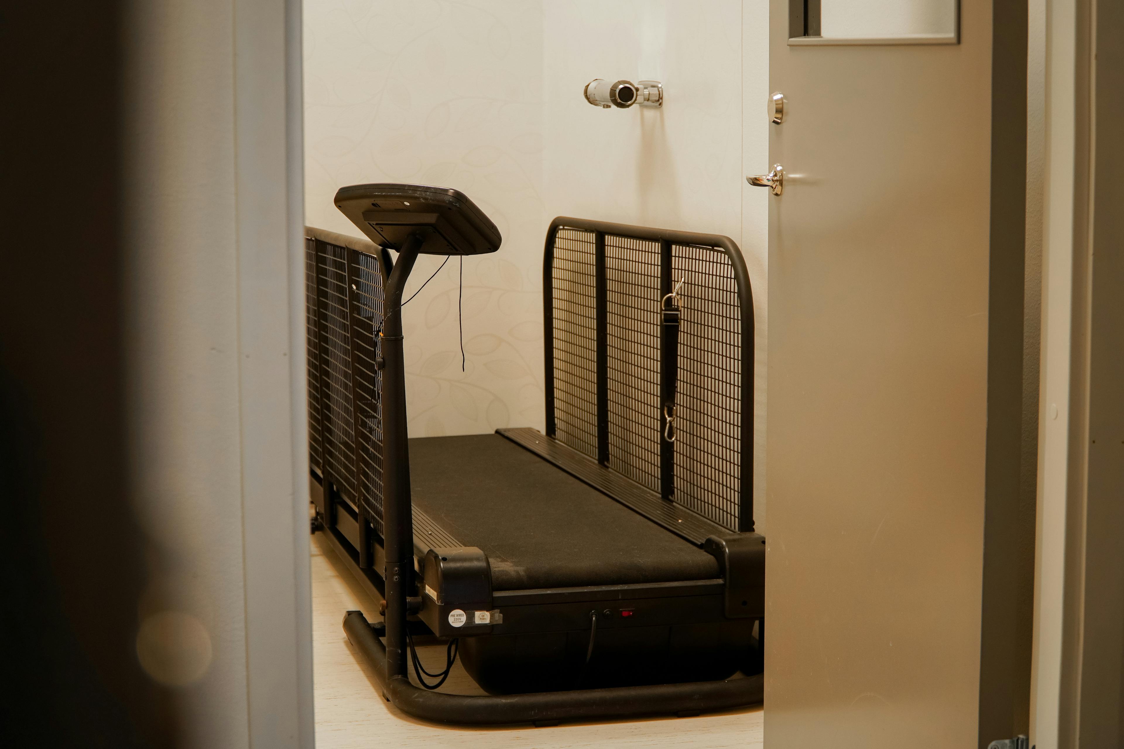 Löpband för hundar växjö