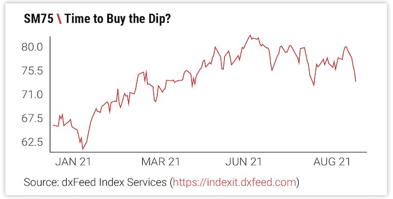 Time to Buy the Dip?