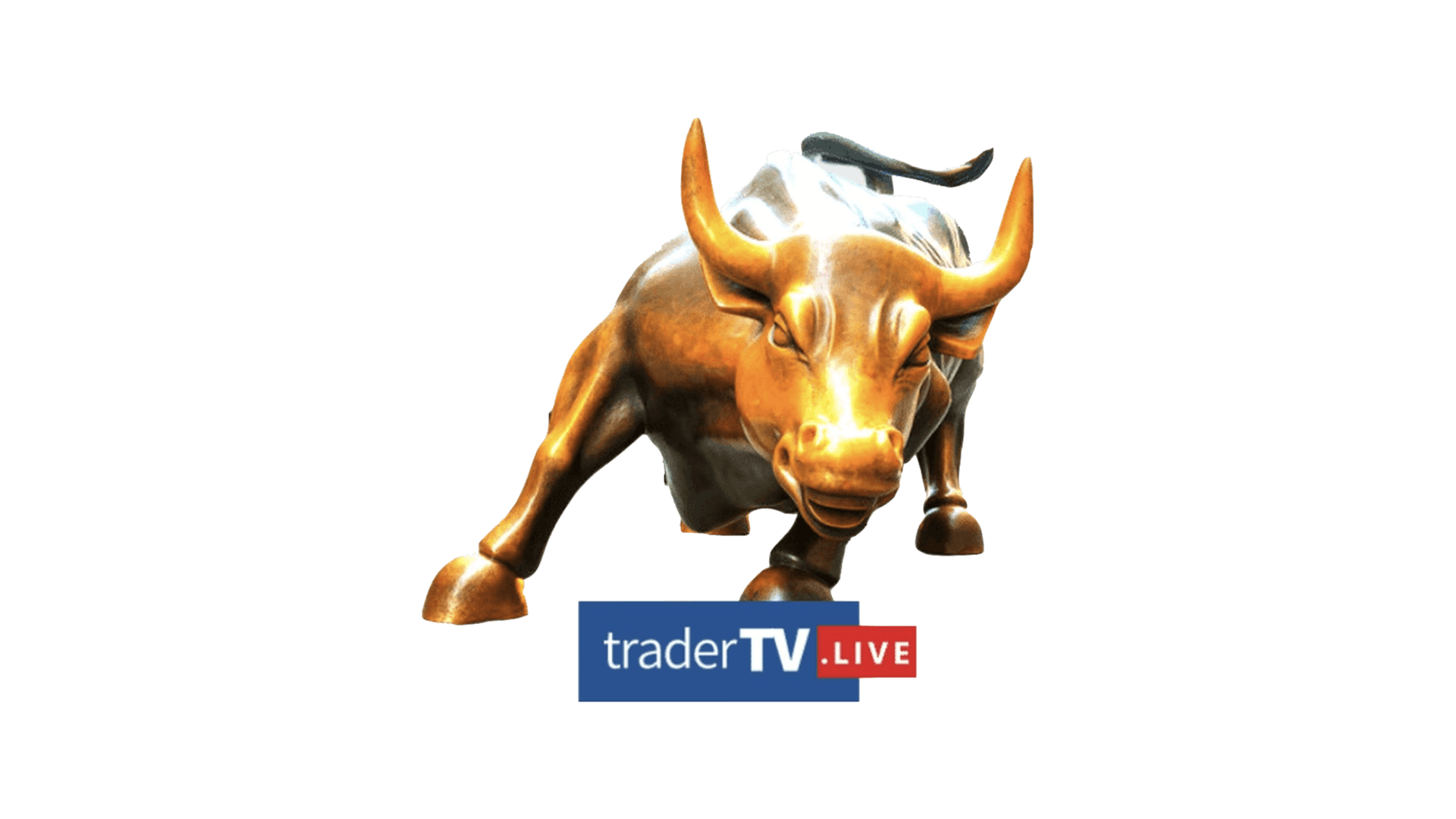TraderTV-Transparent-Logo
