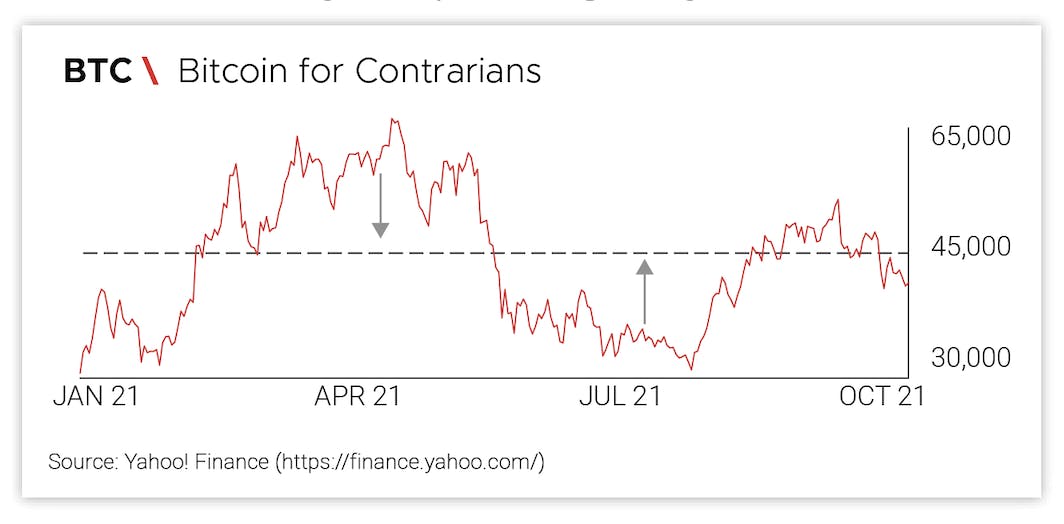 Bitcoin for Contrarians