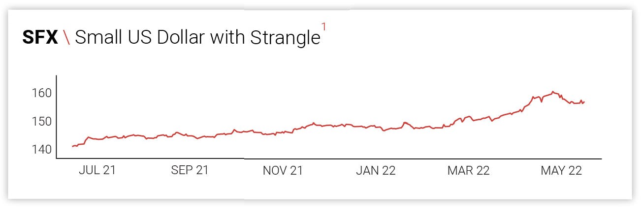 SFX \ Small US Dollar with Strangle