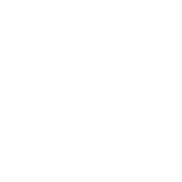 mentor