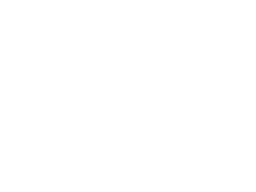 business shaking hands