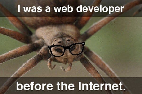 Hipster Web Developer