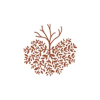 Albero capovolto - logo