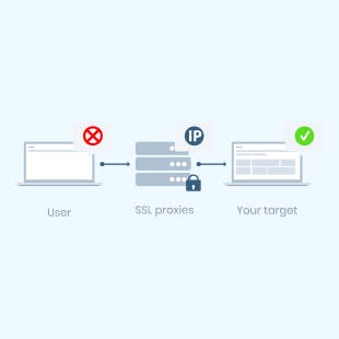 Proxy type: SSL proxy