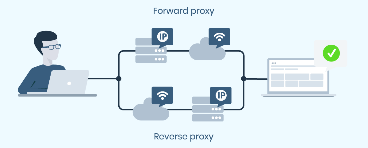 What is a Reverse Proxy Server, Reverse vs. Forward Proxy, CDN Guide