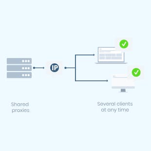 Proxy type: shared proxy
