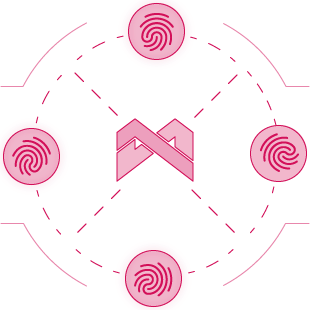MoreLogin anonymous browsing