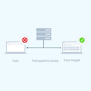 Proxy server type: transparent proxy server