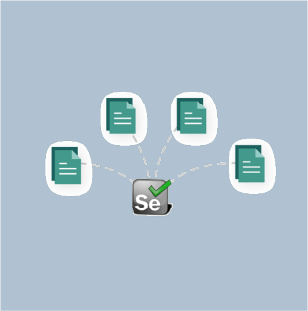 selenium proxies network