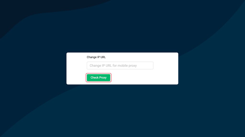 Check Proxy button