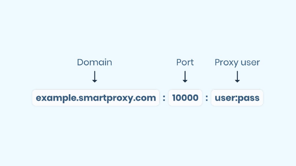 domain port format explained