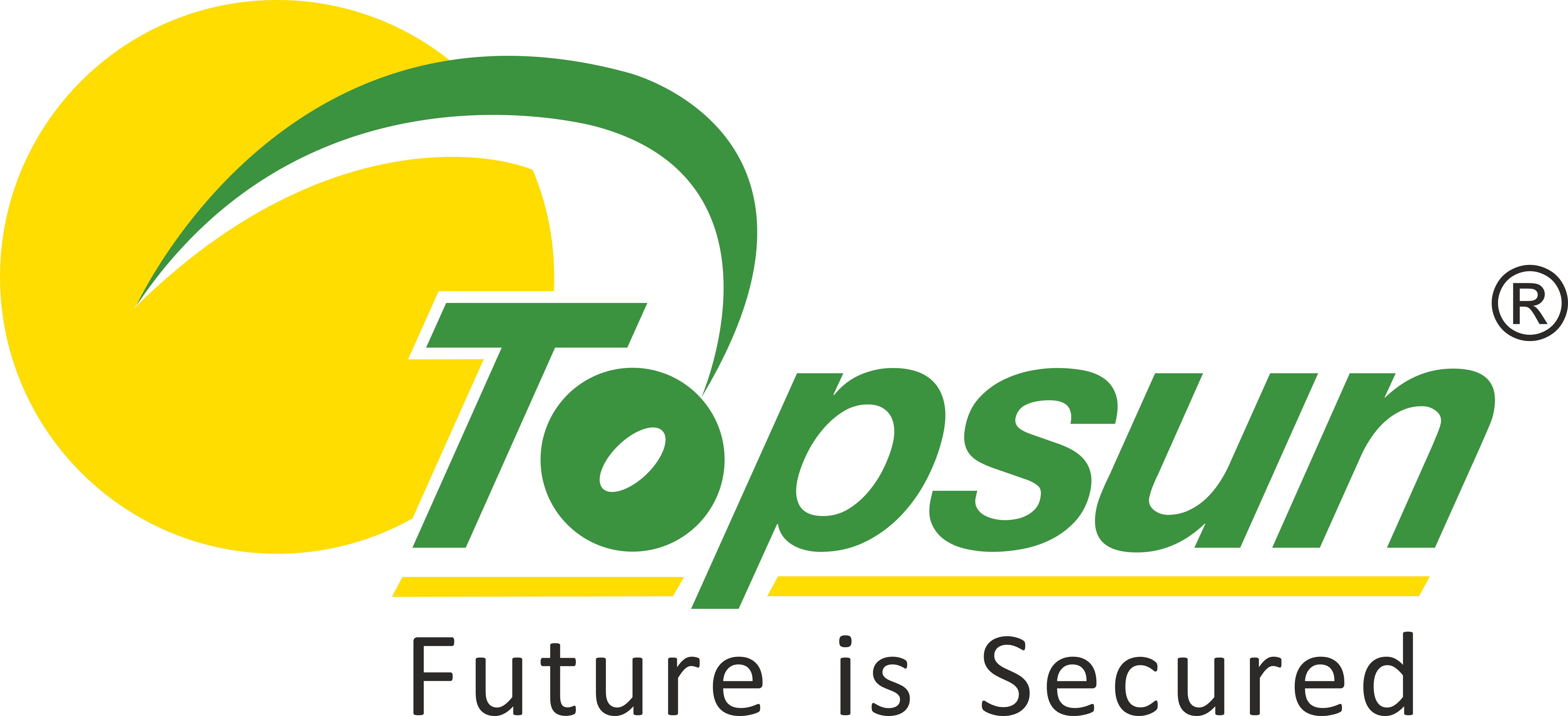 Topsun Energy Logo
