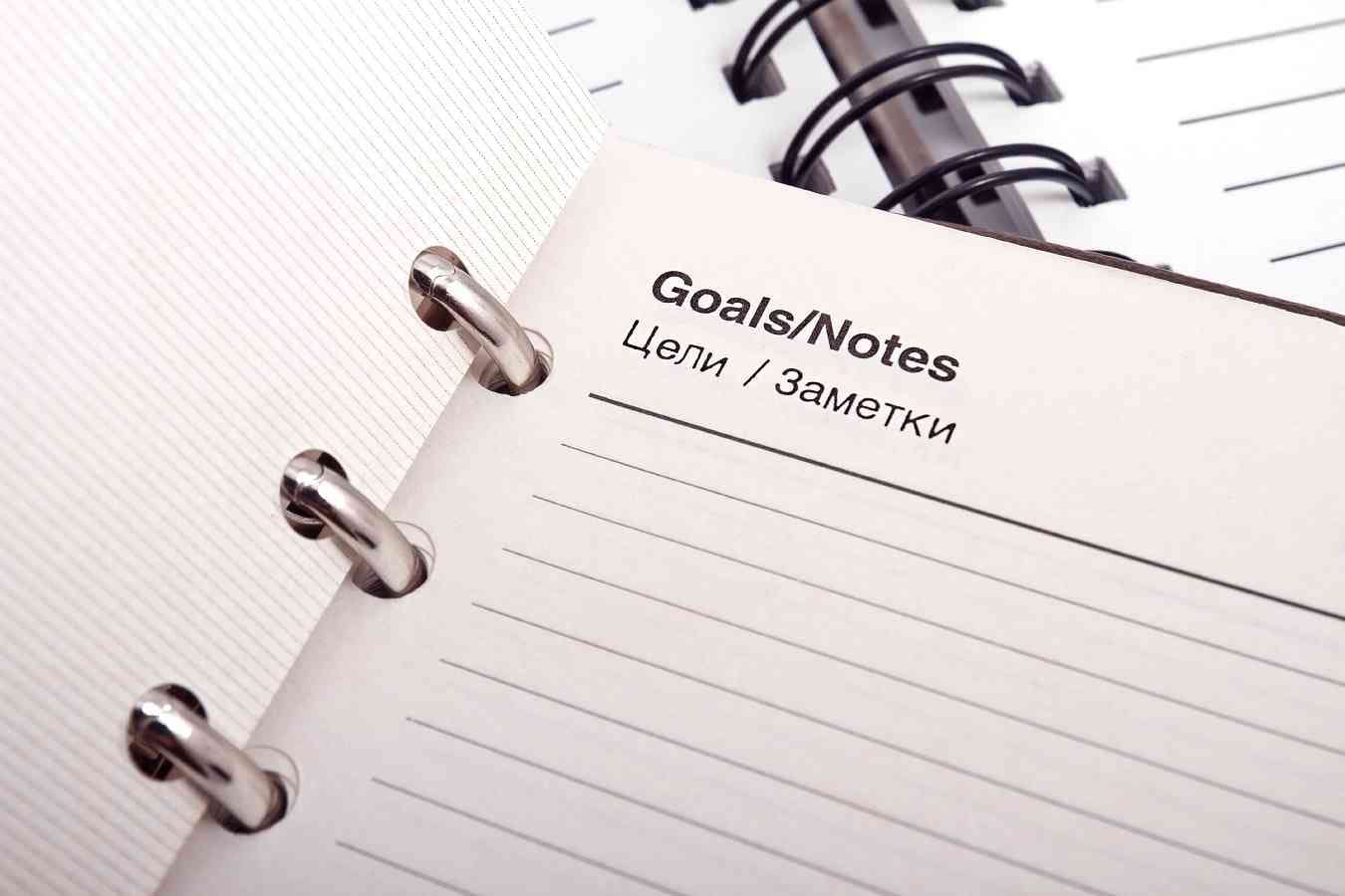 project plans and goals