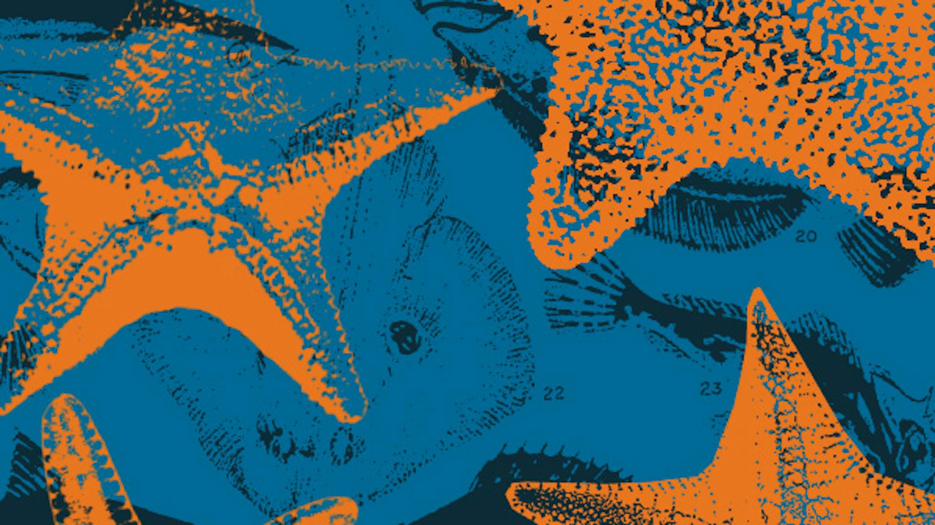 Ilustrações em um fundo azul, há imagens de peixes em preto e imagens de estrelas do mar em laranja.