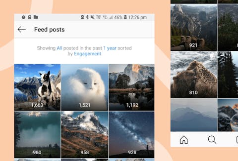 Preview for article The Complete Guide to Instagram Post Insights
