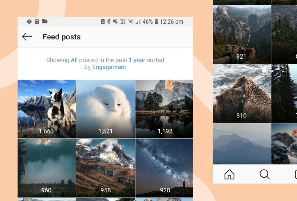 Overview of your Instagram posts and their insights