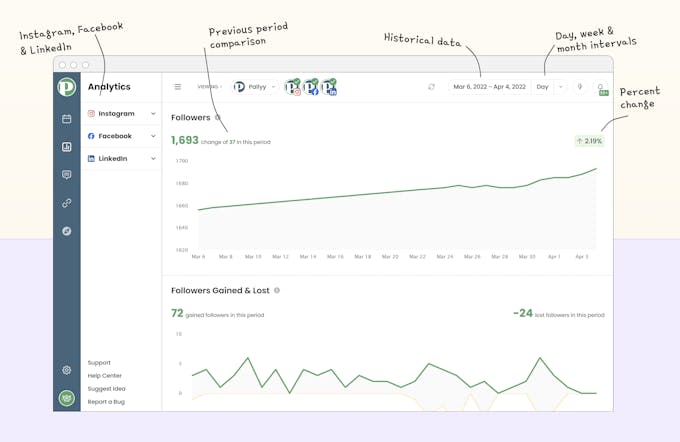 Pallyy's Instagram analytics section on their website.